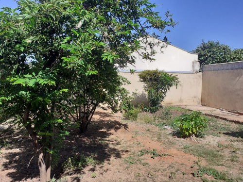 Casa à Venda no Alto da Boa Vista em Araçatuba/SP