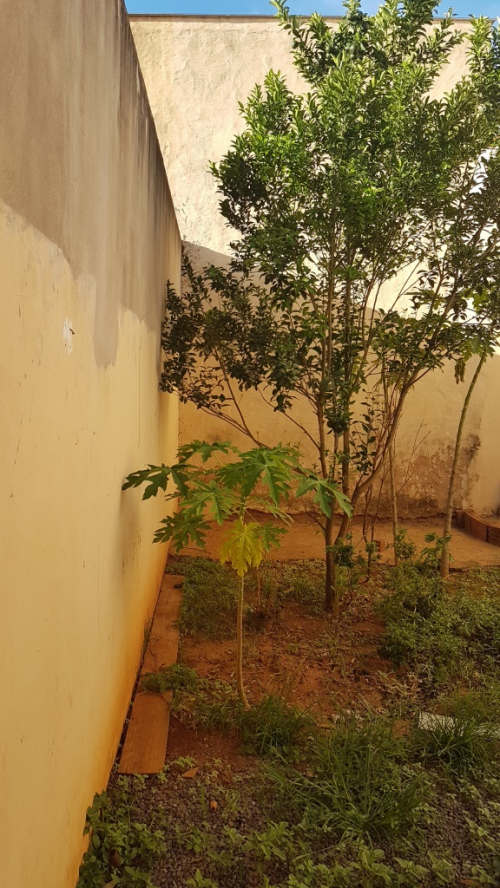 Casa à Venda no Água Branca I em Araçatuba/SP